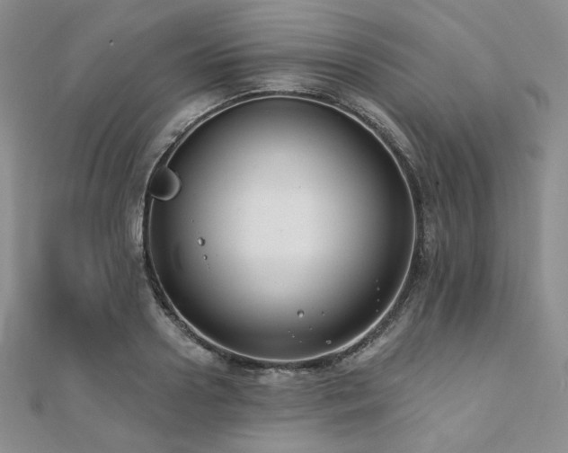 X0000112000938200908031226