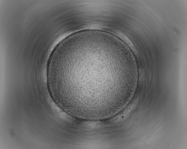 X0000112000939200908031226