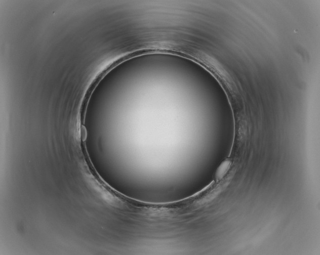 X0000112000940200908031226