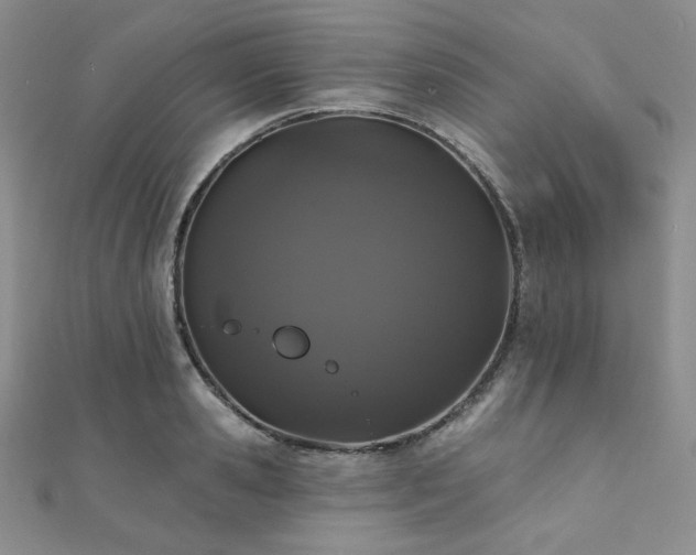 X0000112000941200908031226