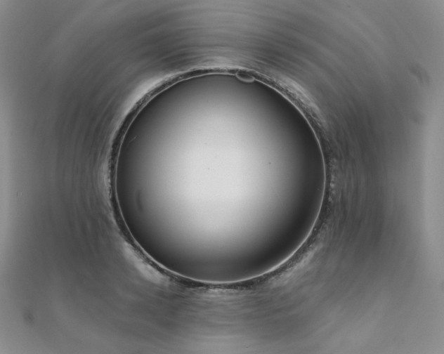 X0000112000942200908031226