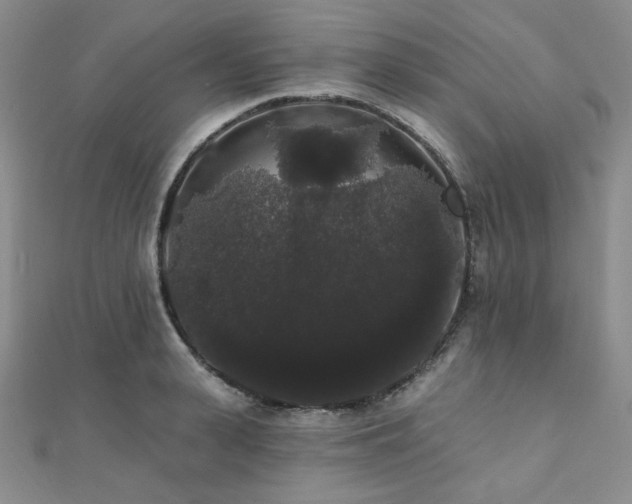 X0000112000943200908031226