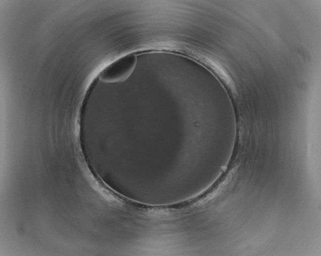 X0000112000944200908031226