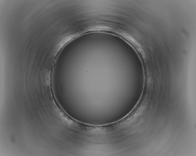 X0000112000945200908031226