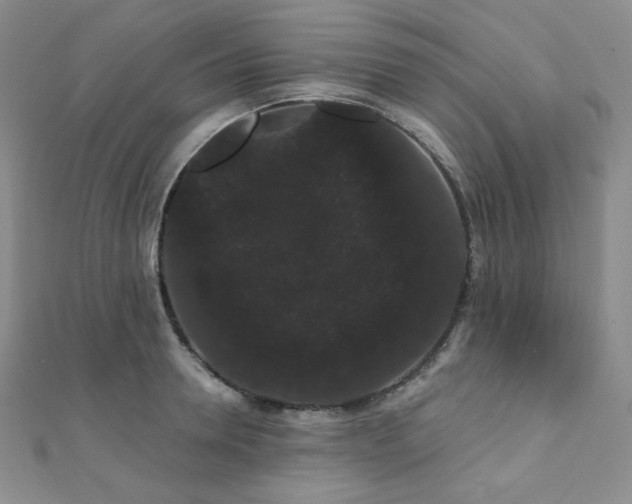 X0000112000946200908031226