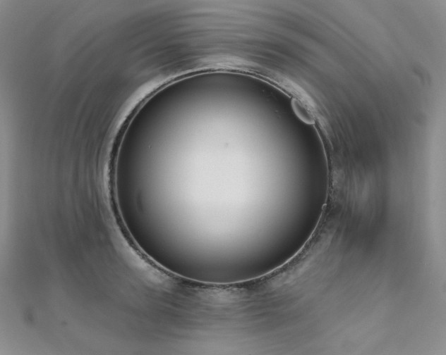 X0000112000947200908031226