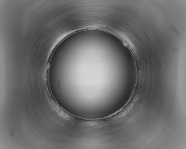 X0000112000948200908031226