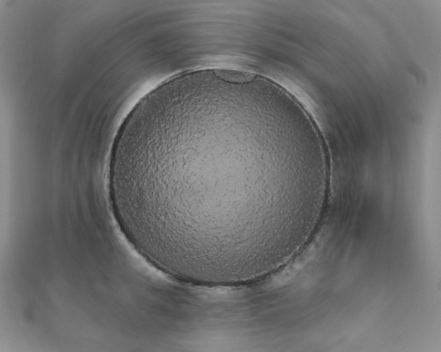 X0000112000949200908031226