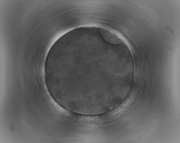 X0000112000951200908031226