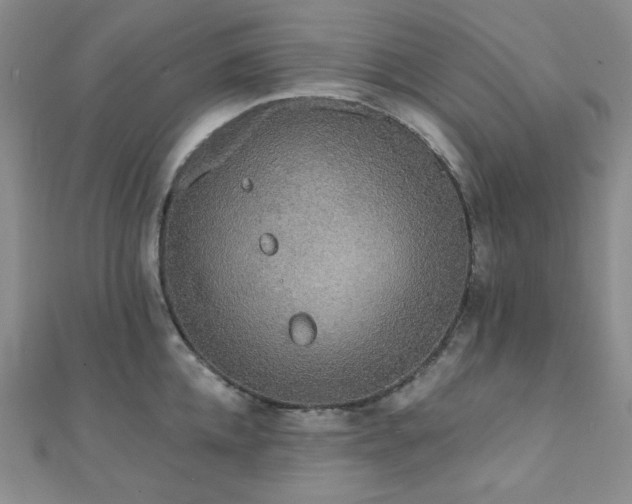 X0000112000952200908031226