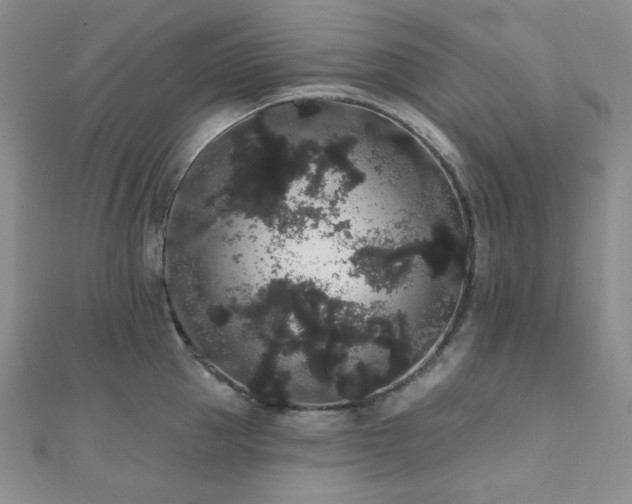 X0000112000953200908031226