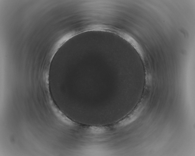 X0000112000954200908031226