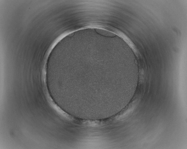 X0000112000955200908031226