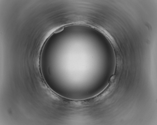 X0000112000956200908031226