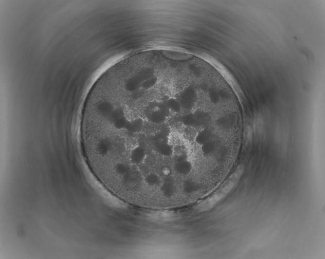 X0000112000957200908031226