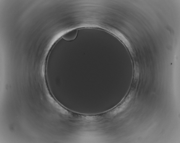 X0000112000958200908031226