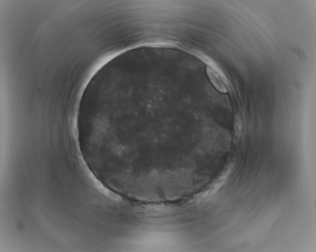 X0000112000959200908031226