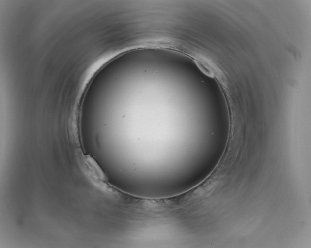 X0000112000960200908031226