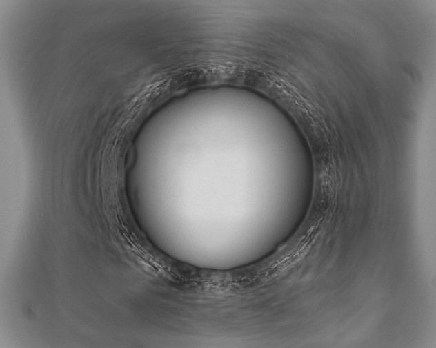 X0000112000961200908031225