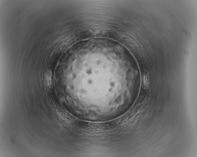 X0000112000963200908031225