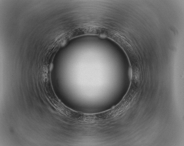 X0000112000964200908031225