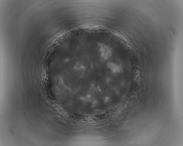 X0000112000966200908031225