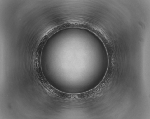 X0000112000968200908031225