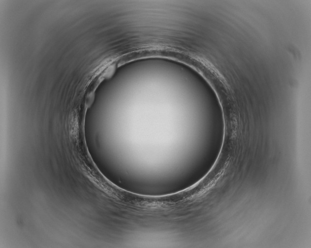 X0000112000969200908031225