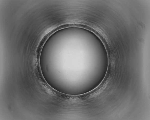 X0000112000974200908031225