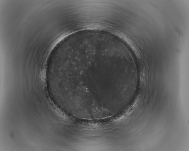 X0000112000975200908031225