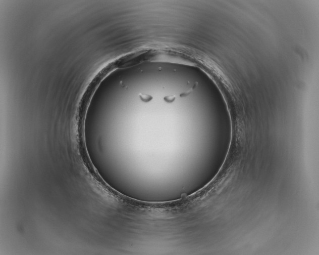 X0000112000976200908031225