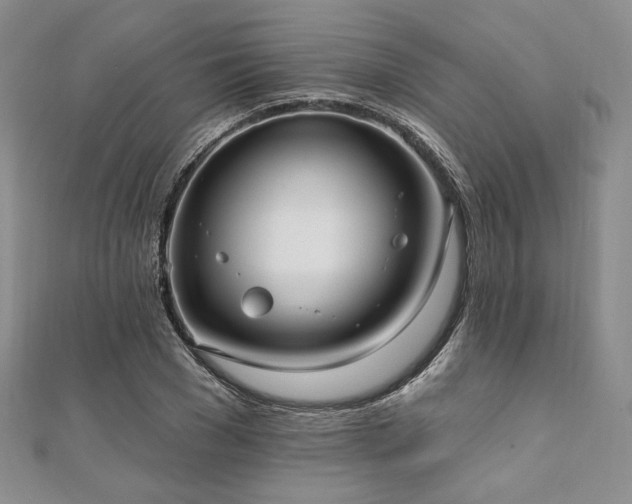 X0000112000977200908031225