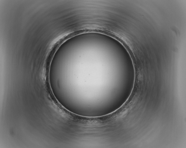 X0000112000979200908031225