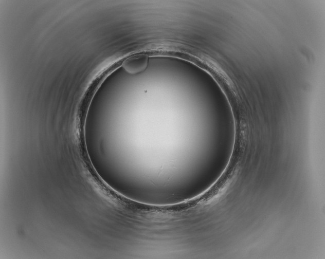 X0000112000981200908031225