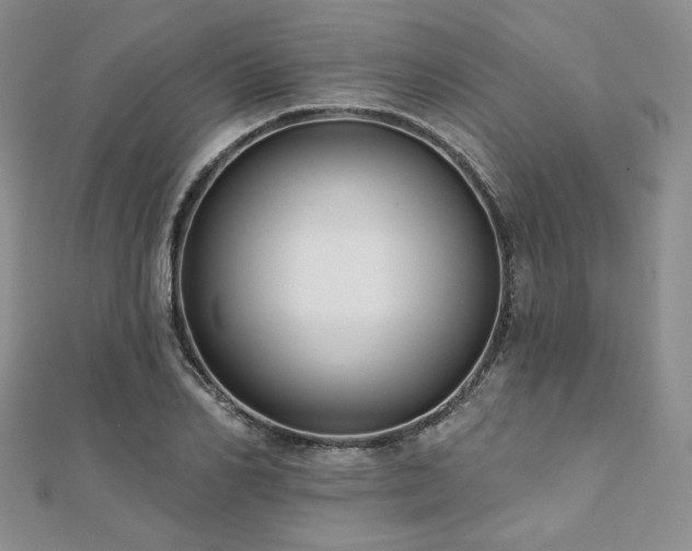 X0000112000982200908031225