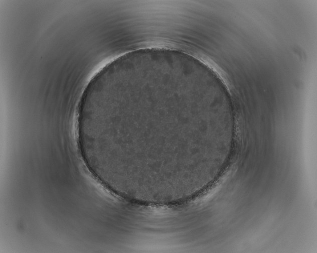 X0000112000983200908031225