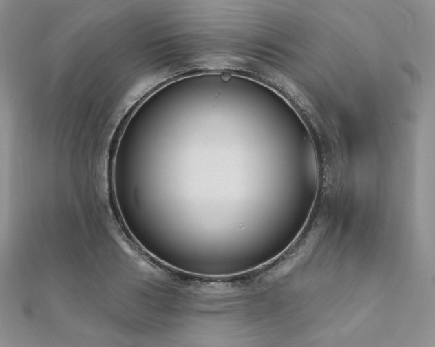 X0000112000986200908031225