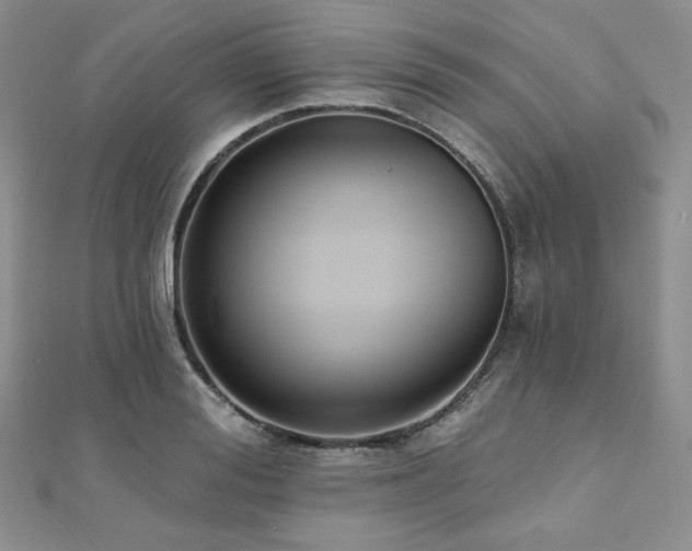 X0000112000988200908031225