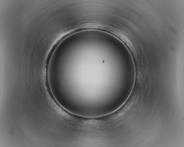 X0000112000992200908031225