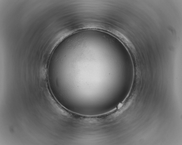 X0000112000993200908031225