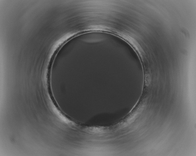 X0000112000995200908031225