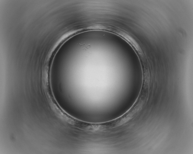 X0000112001000200908031225