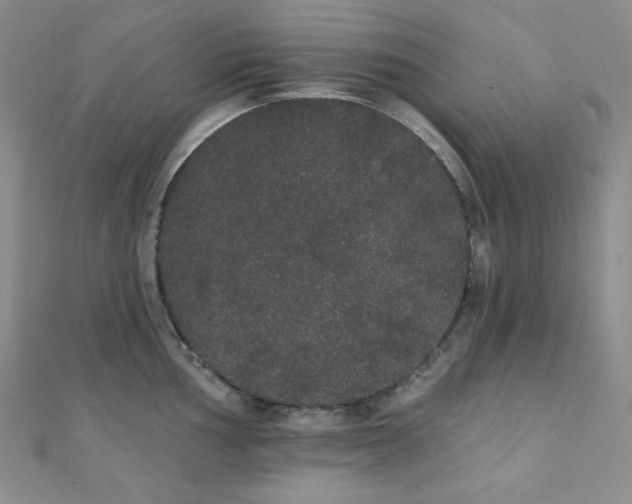 X0000112001002200908031225