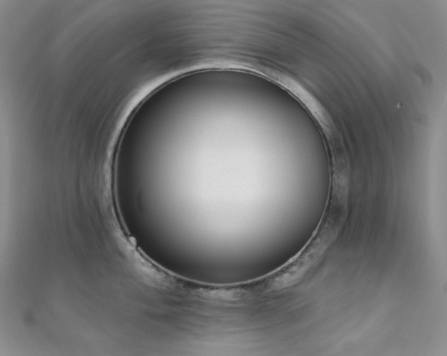 X0000112001004200908031225