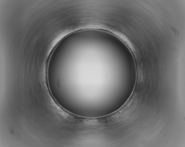 X0000112001006200908031225