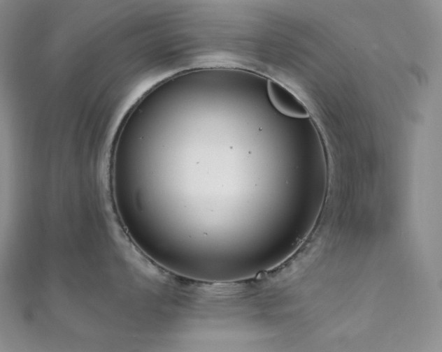 X0000112001008200908031225