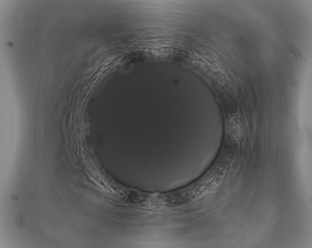X0000112001009200908031224