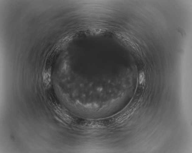 X0000112001011200908031224