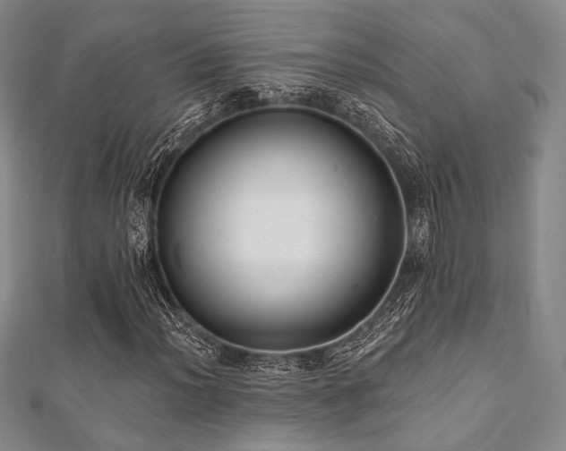 X0000112001012200908031224