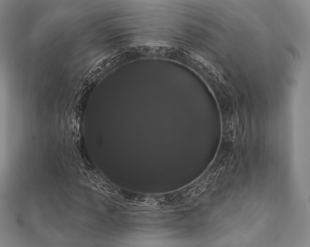 X0000112001013200908031224